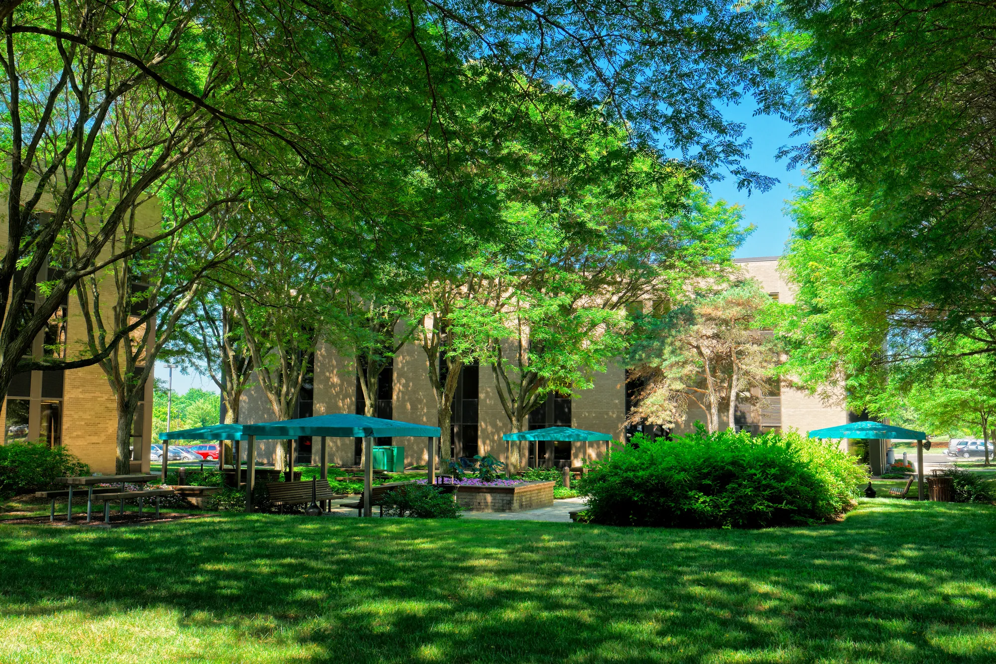 Campus Courtyard